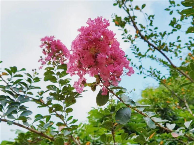 呼吸鮮氧，踐行公益&mdash;&mdash;廣東博皓公益活動：星溪線公益環保活動   -5