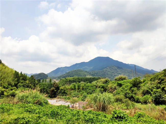 呼吸鮮氧，踐行公益&mdash;&mdash;廣東博皓公益活動：星溪線公益環?；顒?  -6