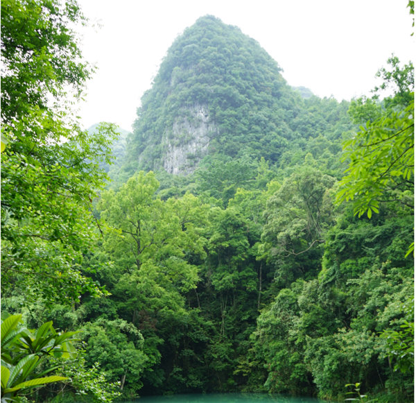 賞華夏大地，游多彩貴州-－2021年廣東博皓快樂行-2