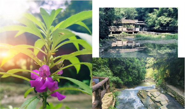 &ldquo;湘&rdquo;約鳳凰，相守未來(lái)&mdash;&mdash;2022博皓快樂(lè)湖南行    -34