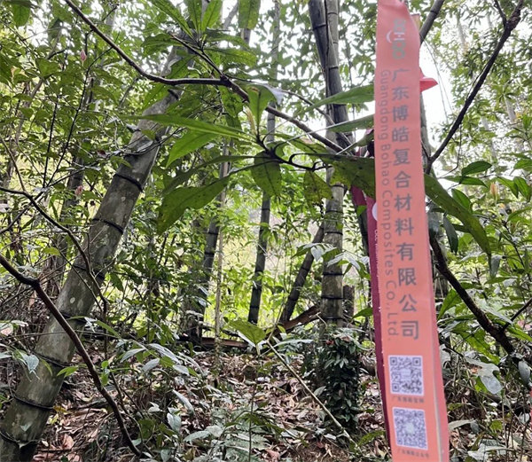 凝心聚力再出發(fā),風(fēng)雨同舟赴星溪!--廣東博皓2024龍年首登星溪之旅 -2